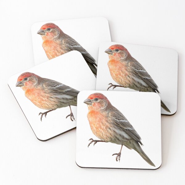 Item preview, House Finch designed and sold by kyra0nicole.