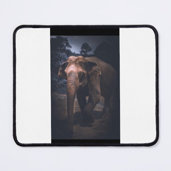 Item preview, An Elephant Approaches designed and sold by Will's Window.