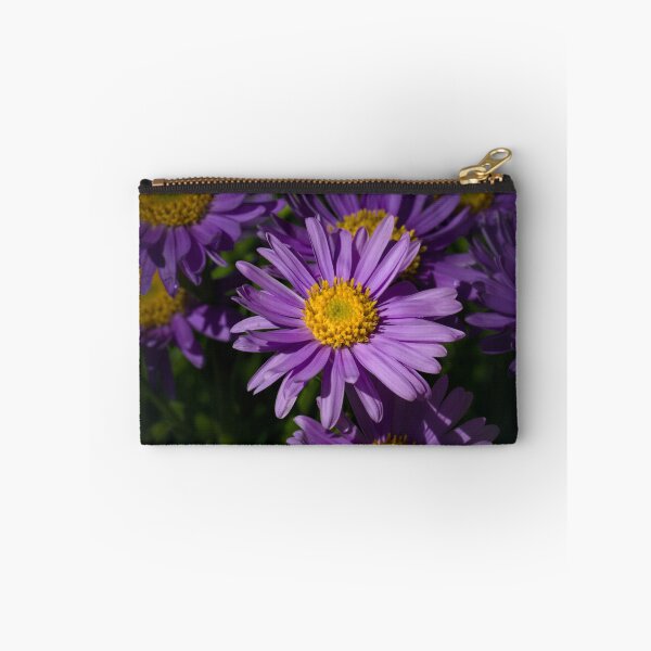 Item preview, Asters  designed and sold by Cblifeisgood.