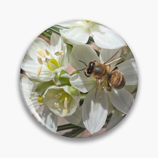 Item preview, First Pollen designed and sold by Moss-Mandalas.