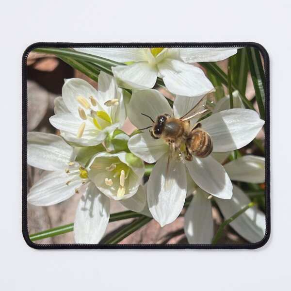 Item preview, First Pollen designed and sold by Moss-Mandalas.