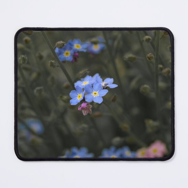 Item preview, Forget Me Nots 2 designed and sold by Cblifeisgood.