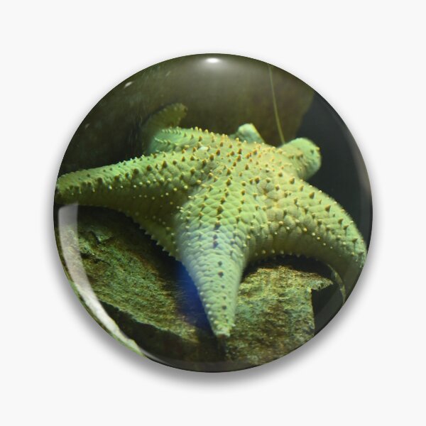 Item preview, Starfish on Rocky Surface designed and sold by getmybookstore.