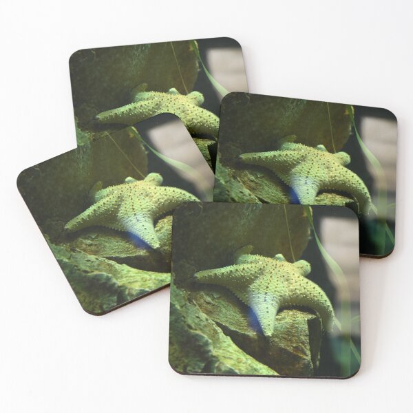 Item preview, Starfish on Rocky Surface designed and sold by getmybookstore.