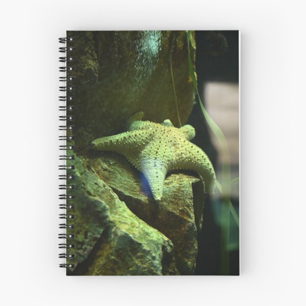 Item preview, Starfish on Rocky Surface designed and sold by getmybookstore.