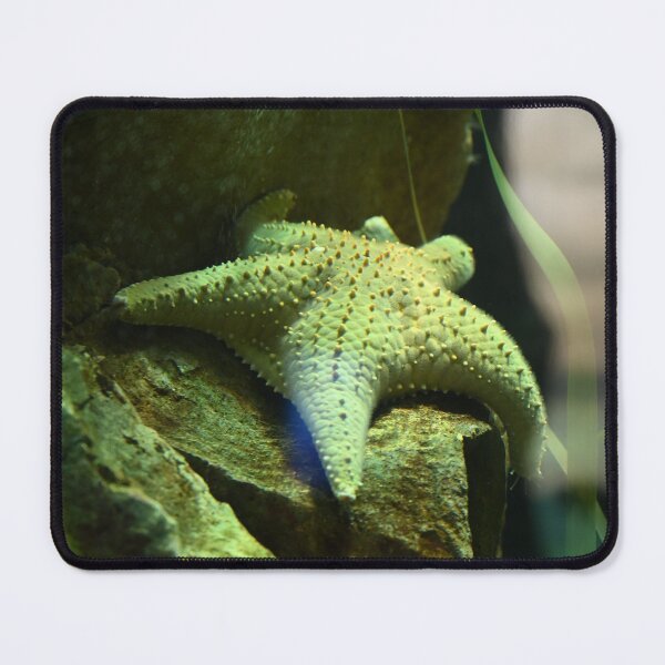 Item preview, Starfish on Rocky Surface designed and sold by getmybookstore.