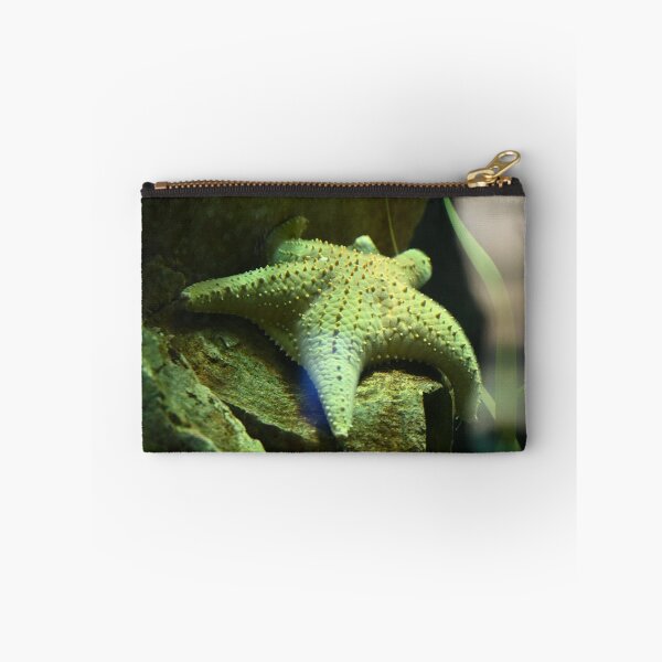 Item preview, Starfish on Rocky Surface designed and sold by getmybookstore.