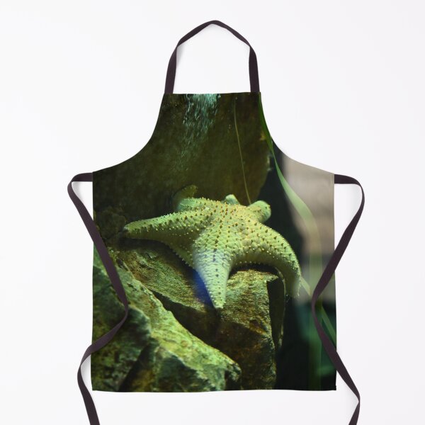Item preview, Starfish on Rocky Surface designed and sold by getmybookstore.
