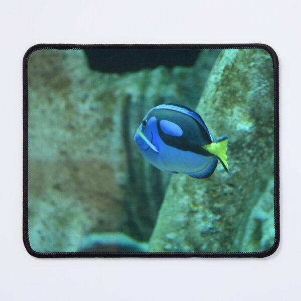 Item preview, Vibrant Blue Fish Swimming Underwater designed and sold by getmybookstore.