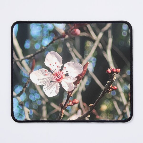 Item preview, A Lonely Plum Blossom designed and sold by Facebook.com/ ArtByAmyMinori.