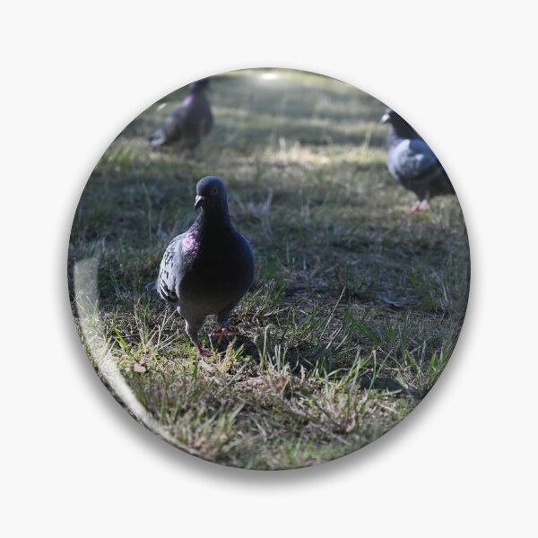 Item preview, Pigeons on a Sunlit Meadow designed and sold by getmybookstore.