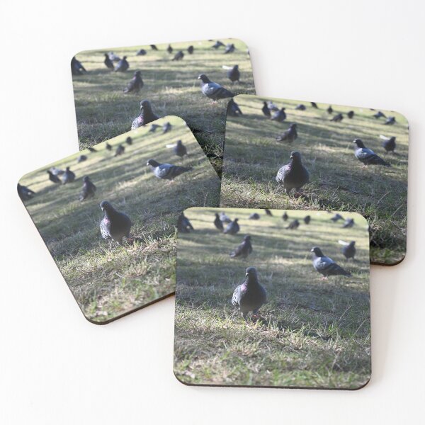 Item preview, Pigeons on a Sunlit Meadow designed and sold by getmybookstore.