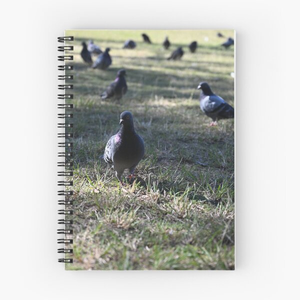 Item preview, Pigeons on a Sunlit Meadow designed and sold by getmybookstore.