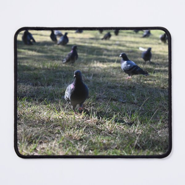 Item preview, Pigeons on a Sunlit Meadow designed and sold by getmybookstore.