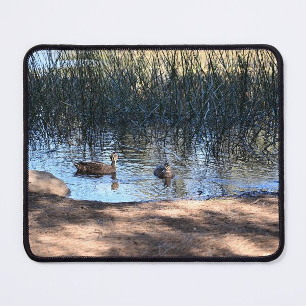 Item preview, Ducks Swimming in Tranquil Water designed and sold by getmybookstore.