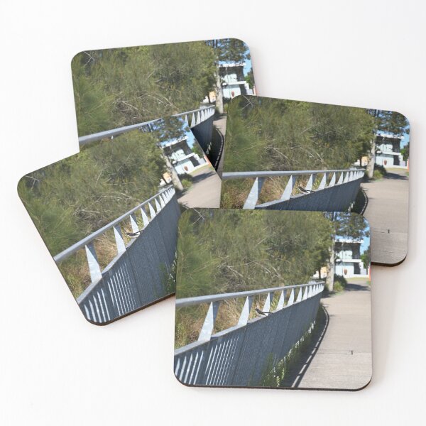 Item preview, Willie Wagtail perched on edge of lake designed and sold by getmybookstore.