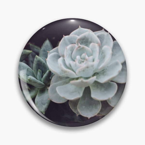 Item preview, Succulent cactus designed and sold by GREEN WORLD SOCIETY.