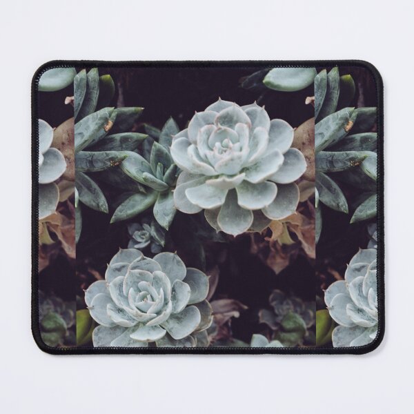 Item preview, Succulent cactus designed and sold by GREEN WORLD SOCIETY.