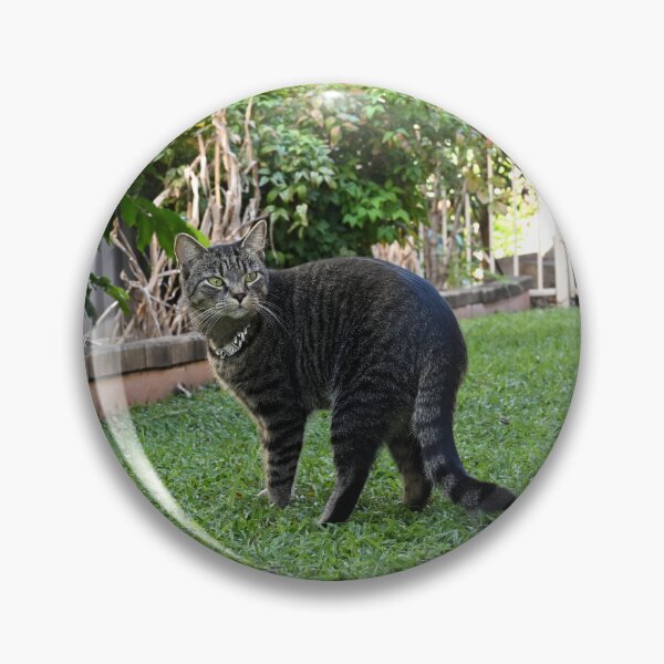 Item preview, Curious Cat in Lush Garden designed and sold by getmybookstore.