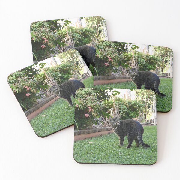 Item preview, Curious Cat in Lush Garden designed and sold by getmybookstore.