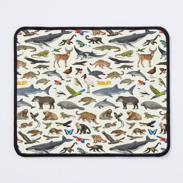 Item preview, Animals of Costa Rica Retro Style Identification Chart designed and sold by kakarikihill.