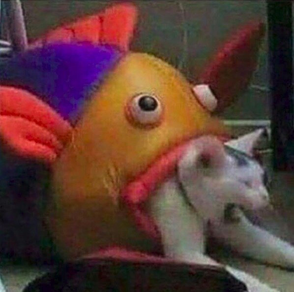 fish eats cat