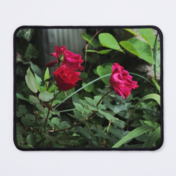 Item preview, Beautiful Clash designed and sold by PictUrPoise.