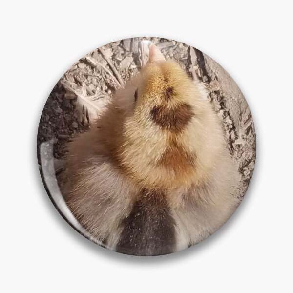 Item preview, Lovely Easter Egger Chick designed and sold by WillsFleshArt.