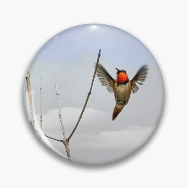 Item preview, Anna's Hummingbird in Flight designed and sold by CarolM.