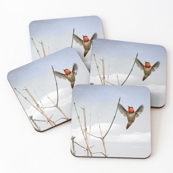 Item preview, Anna's Hummingbird in Flight designed and sold by CarolM.