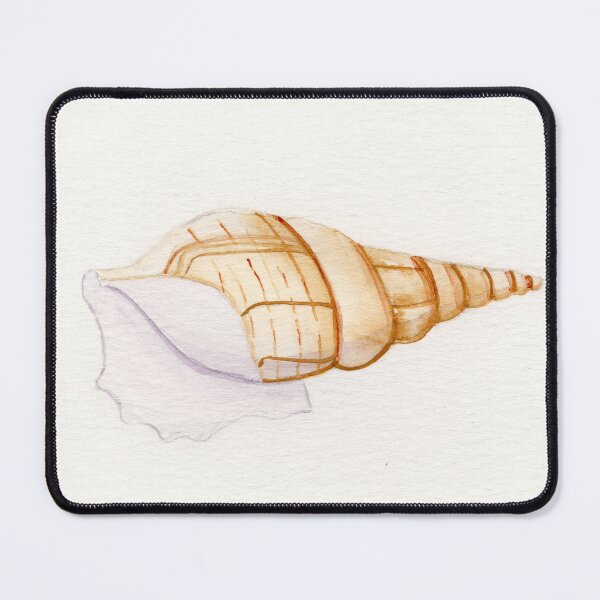 Item preview, Single cone shell with white background designed and sold by KPierceArt.