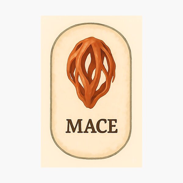 Item preview, Vintage Botanical Herb and Spice Prints: Mace designed and sold by PinUpPizzazz.