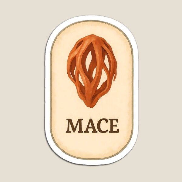 Item preview, Vintage Botanical Herb and Spice Prints: Mace designed and sold by PinUpPizzazz.