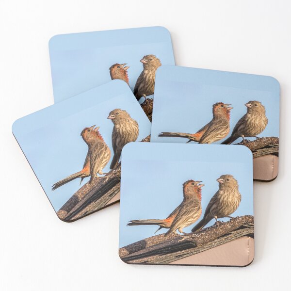 Item preview, A Pair of House Finches Having a Conversation designed and sold by CarolM.