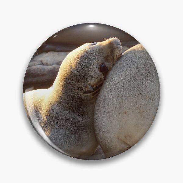 Item preview, Golden Slumber: A Sea Lion Siesta designed and sold by sky earth human.