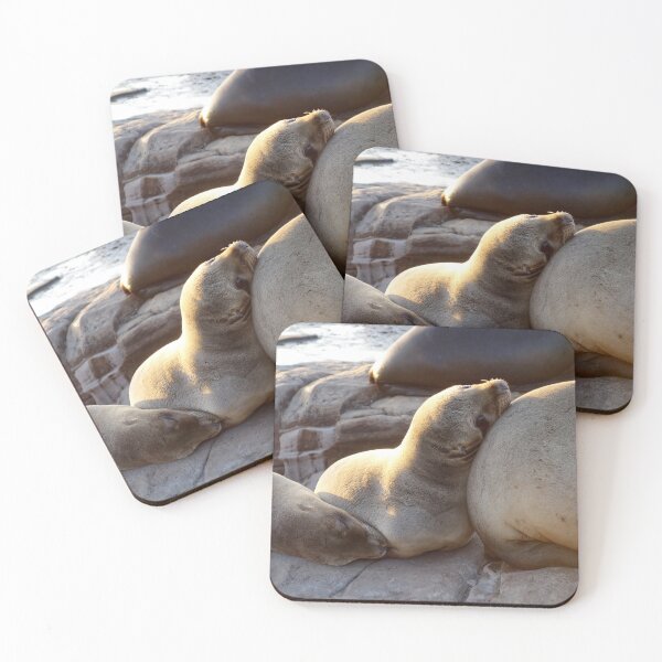 Item preview, Golden Slumber: A Sea Lion Siesta designed and sold by sky earth human.