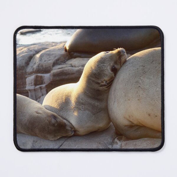 Item preview, Golden Slumber: A Sea Lion Siesta designed and sold by sky earth human.