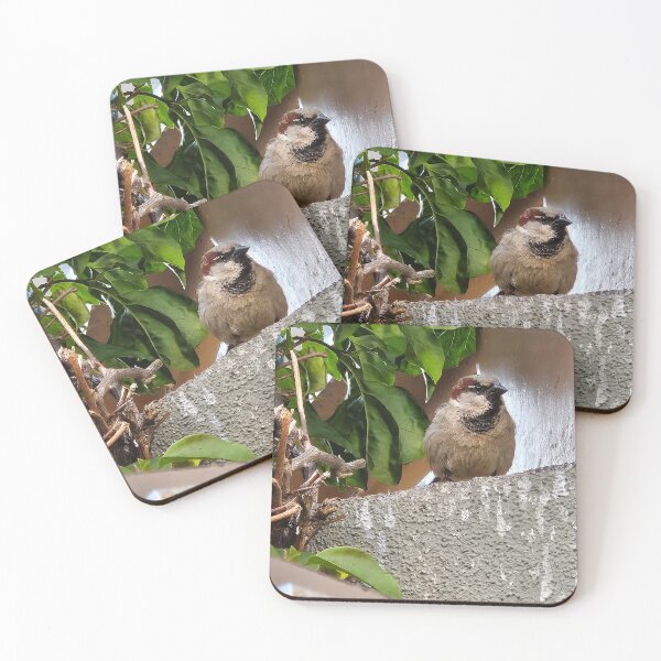 Item preview, European House Sparrow designed and sold by WillsFleshArt.