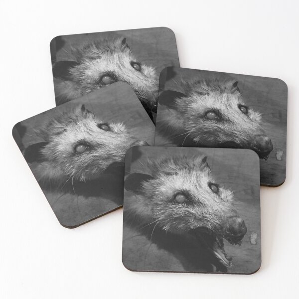 Item preview, Haunted Opossum Head designed and sold by WillsFleshArt.