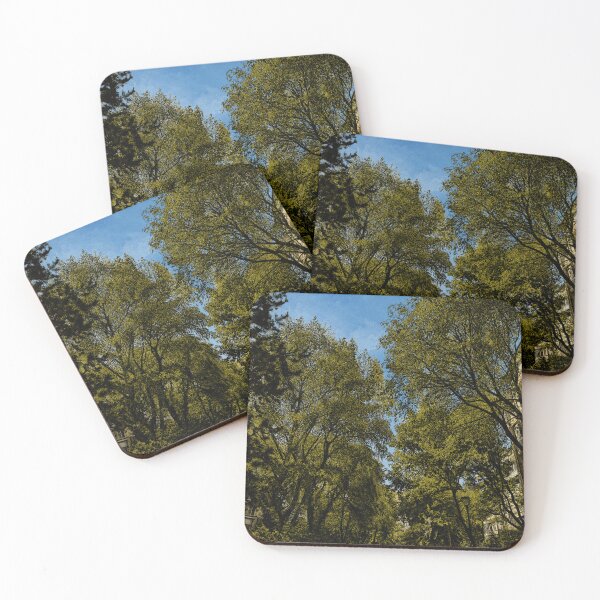 Item preview, Urban Forest Street – Natural Punk Wearable Identity designed and sold by InnerwayStudio.
