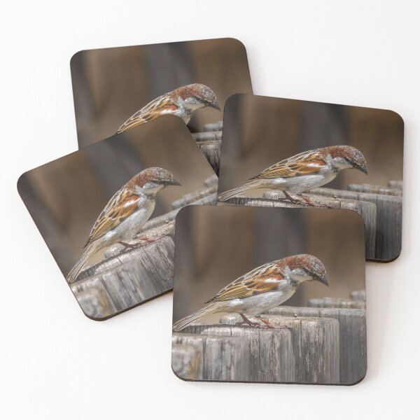 Item preview, Common House Sparrow - On the Post designed and sold by Ralph Goldsmith.
