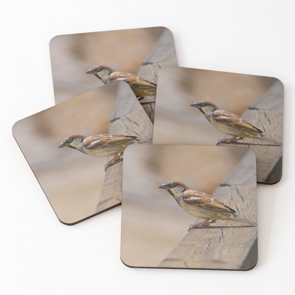 Item preview, Common House Sparrow - Rail perch designed and sold by Ralph Goldsmith.
