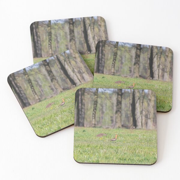 Item preview, The Elegant Wanderer - Black-tailed Godwit in Spring Meadow designed and sold by alicjamiekina.