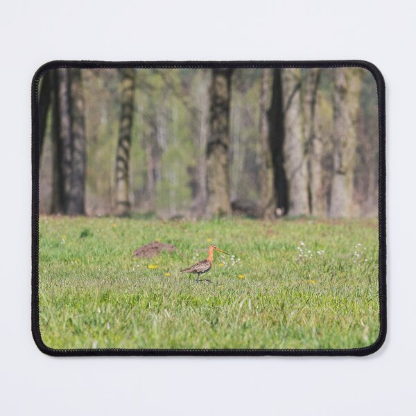 Item preview, The Elegant Wanderer - Black-tailed Godwit in Spring Meadow designed and sold by alicjamiekina.