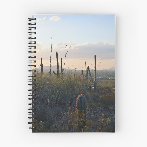 Item preview, Desert Sunset with Cacti designed and sold by Phakade's Photos.