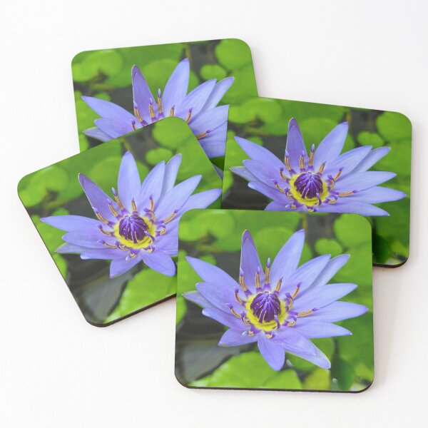 Item preview, Purple blue water lily pond bloom designed and sold by Kainicram.