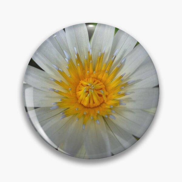 Item preview, White water lily lotus macro symmetrical bloom designed and sold by Kainicram.