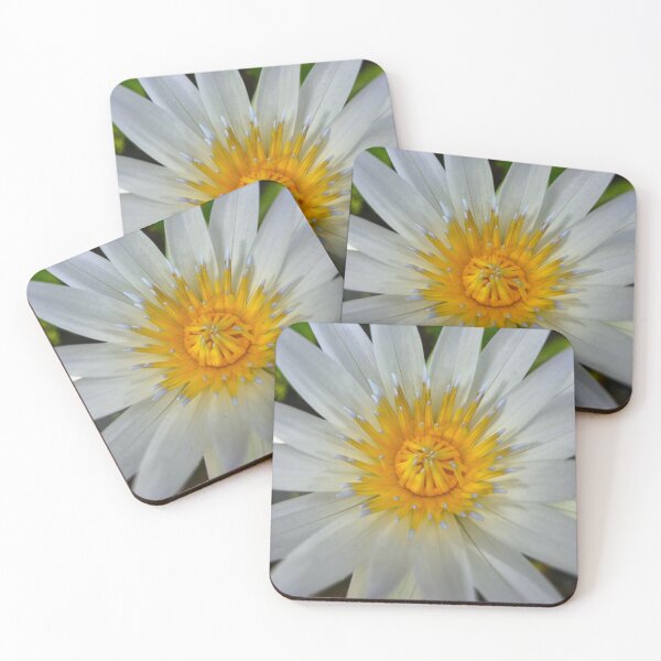 Item preview, White water lily lotus macro symmetrical bloom designed and sold by Kainicram.
