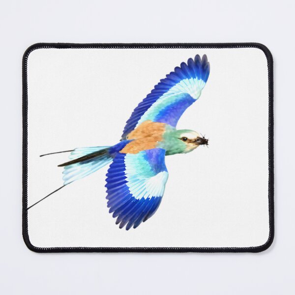 Item preview, Abyssinian Roller designed and sold by HOMETOWN86.
