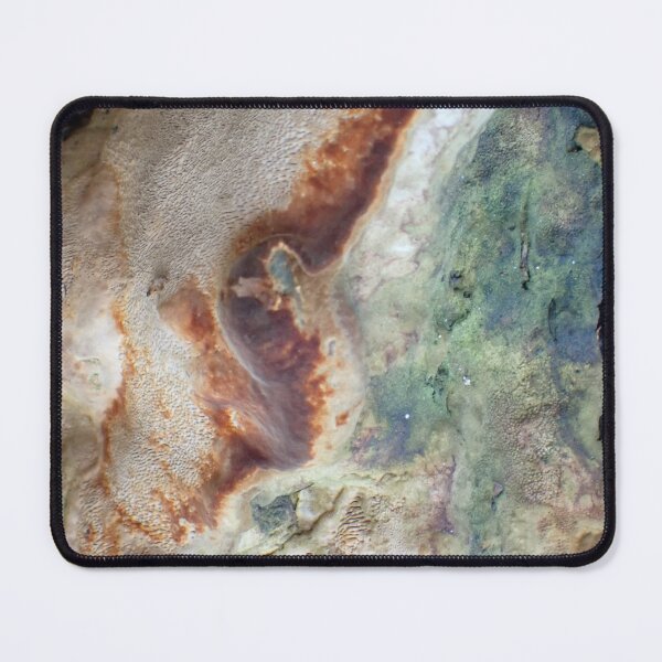 Item preview, Abstract Tree Fungus Texture Macro Photography designed and sold by onubi.